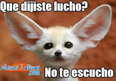 que-dijistes-lucho